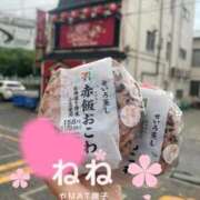 ヒメ日記 2025/08/10 10:10 投稿 ねね やMAT撫子