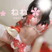 ヒメ日記 2025/11/08 20:06 投稿 ねね やMAT撫子