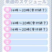 ヒメ日記 2025/05/25 12:57 投稿 れお ぽちゃカワ女子専門店宇都宮店