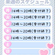 ヒメ日記 2025/06/06 21:20 投稿 れお ぽちゃカワ女子専門店宇都宮店