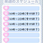 ヒメ日記 2025/06/14 13:24 投稿 れお ぽちゃカワ女子専門店宇都宮店