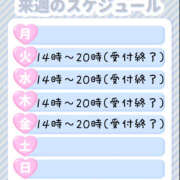 ヒメ日記 2025/07/13 12:05 投稿 れお ぽちゃカワ女子専門店宇都宮店