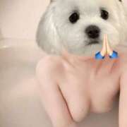 ヒメ日記 2025/05/26 14:01 投稿 一色　華 エテルナ京都