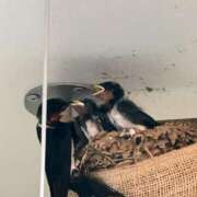 ヒメ日記 2025/06/22 14:00 投稿 一色　華 エテルナ京都