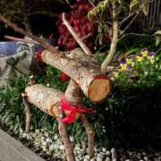 ヒメ日記 2025/12/23 14:30 投稿 一色　華 エテルナ京都