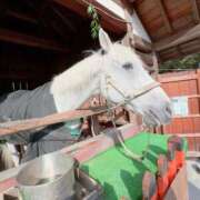 ヒメ日記 2026/02/12 19:58 投稿 一色　華 エテルナ京都