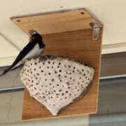 ヒメ日記 2026/04/14 15:00 投稿 一色　華 エテルナ京都