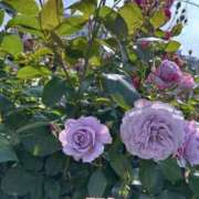 ヒメ日記 2025/06/21 22:15 投稿 うみ スピードエコ梅田店