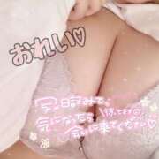 ヒメ日記 2025/05/21 23:31 投稿 もな ぷよラブ