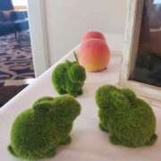 ヒメ日記 2025/05/24 09:48 投稿 みほ 即トク奥さん