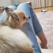 ヒメ日記 2026/04/07 08:50 投稿 みほ 即トク奥さん