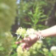 ヒメ日記 2025/07/08 12:57 投稿 ほたる Lounge Yoki東京