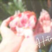 ヒメ日記 2025/07/17 10:47 投稿 ほたる Lounge Yoki東京