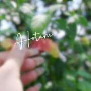 ヒメ日記 2025/07/17 14:27 投稿 ほたる Lounge Yoki東京