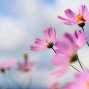 ヒメ日記 2025/09/30 18:07 投稿 ほたる Lounge Yoki東京