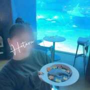 ヒメ日記 2026/02/16 10:57 投稿 ほたる Lounge Yoki東京