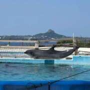 ヒメ日記 2026/02/18 13:57 投稿 ほたる Lounge Yoki東京