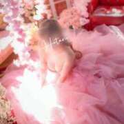 ヒメ日記 2026/03/23 14:37 投稿 ほたる Lounge Yoki東京