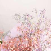 ヒメ日記 2026/03/29 12:37 投稿 ほたる Lounge Yoki東京