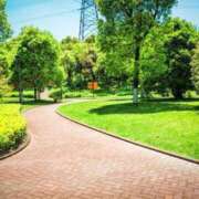 ヒメ日記 2025/05/20 12:32 投稿 さつき シークレットタッチ