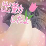 ヒメ日記 2025/07/10 13:11 投稿 さつき シークレットタッチ