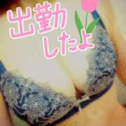 ヒメ日記 2025/07/14 12:05 投稿 さつき シークレットタッチ