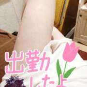 ヒメ日記 2025/08/04 13:01 投稿 さつき シークレットタッチ