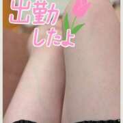 ヒメ日記 2025/09/02 15:40 投稿 さつき シークレットタッチ