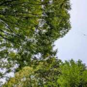 ヒメ日記 2025/10/09 14:21 投稿 さつき シークレットタッチ