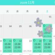 ヒメ日記 2025/11/09 19:51 投稿 さつき シークレットタッチ