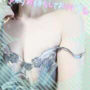 ヒメ日記 2025/12/12 12:25 投稿 さつき シークレットタッチ