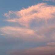 ヒメ日記 2025/07/27 20:19 投稿 れみ 東京人妻セレブリティ（ユメオト）