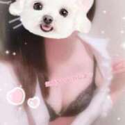 ヒメ日記 2025/08/25 12:24 投稿 西登戸ねね THE痴漢電車.com