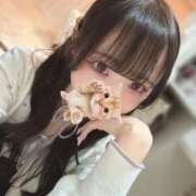 ヒメ日記 2025/11/14 01:49 投稿 あゆみ 博多プラチナム