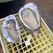 ヒメ日記 2025/10/16 16:05 投稿 白上みこ Aroma Garden（アロマガーデン）