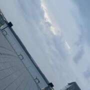 白上みこ 🐬 Aroma Garden（アロマガーデン）