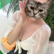 ヒメ日記 2025/06/09 18:48 投稿 心愛(ここあ) 京都泡洗体ハイブリッドエステ