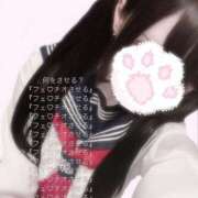 ヒメ日記 2025/06/21 00:07 投稿 いたがき サティアンまーと