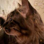 ヒメ日記 2025/08/02 11:29 投稿 りさ ぷるるん小町日本橋店