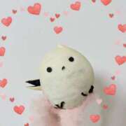 ヒメ日記 2025/06/15 17:35 投稿 まほ 錦糸町人妻セレブリティ（ユメオト）