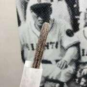 みいひ 全キャン アラモード