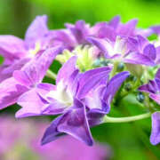 ヒメ日記 2025/06/29 19:38 投稿 ミキ おふくろさんYO!!大和店