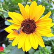 ヒメ日記 2025/06/30 19:48 投稿 ミキ おふくろさんYO!!大和店