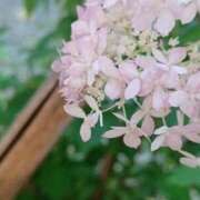 ヒメ日記 2025/07/01 11:30 投稿 ミキ おふくろさんYO!!大和店