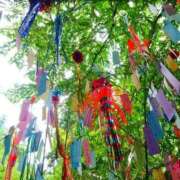 ヒメ日記 2025/07/07 07:58 投稿 ミキ おふくろさんYO!!大和店