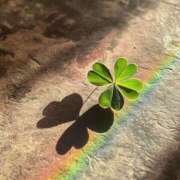 ヒメ日記 2025/08/01 15:28 投稿 ミキ おふくろさんYO!!大和店