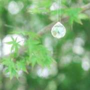 ヒメ日記 2025/08/03 12:19 投稿 ミキ おふくろさんYO!!大和店