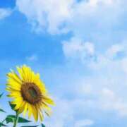 ミキ おはようございます😊 おふくろさんYO!!大和店