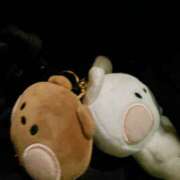 ヒメ日記 2025/11/14 10:00 投稿 みなみ 完熟とまと(十三)