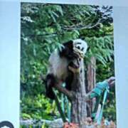 ヒメ日記 2026/01/28 10:00 投稿 みなみ 完熟とまと(十三)